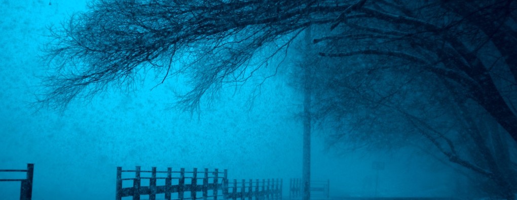 Palliapodcast (aflevering 3): het herkennen van het juiste moment voor een gesprek over behandelgrenzen en -wensen