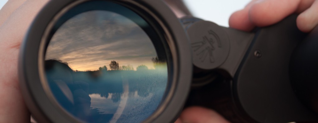 Wat de toekomst brengt