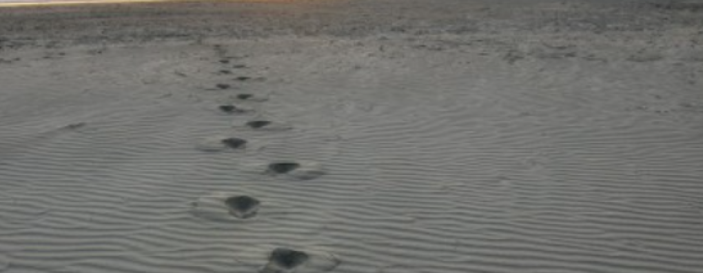 Webinar 'Doorlevers' op 25 september