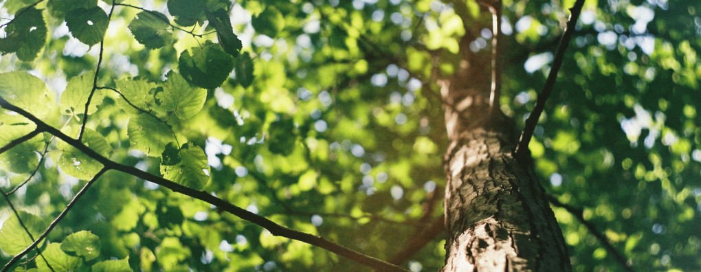 Reacties van zorgverleners op het nieuws dat NZa niet met betaaltitels voor proactieve zorg komt