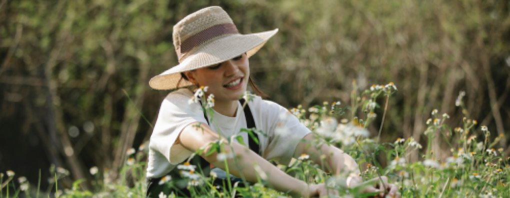 Palliatieve zorg in ziekenhuizen