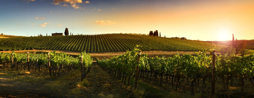 Saint-Emilion Grand Cru