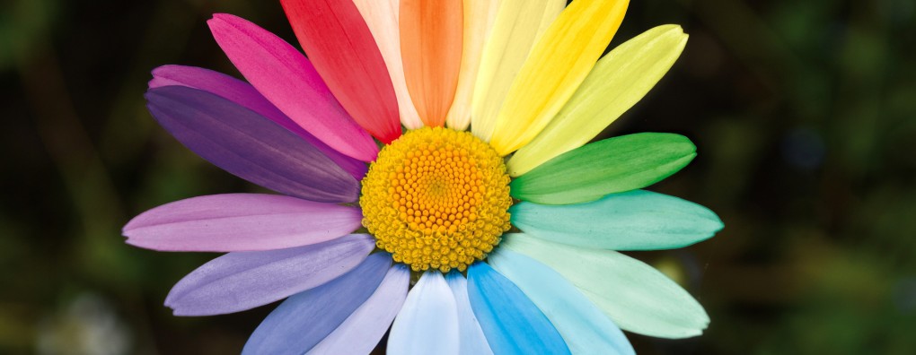 Palliatieve zorg in alle kleuren van de regenboog