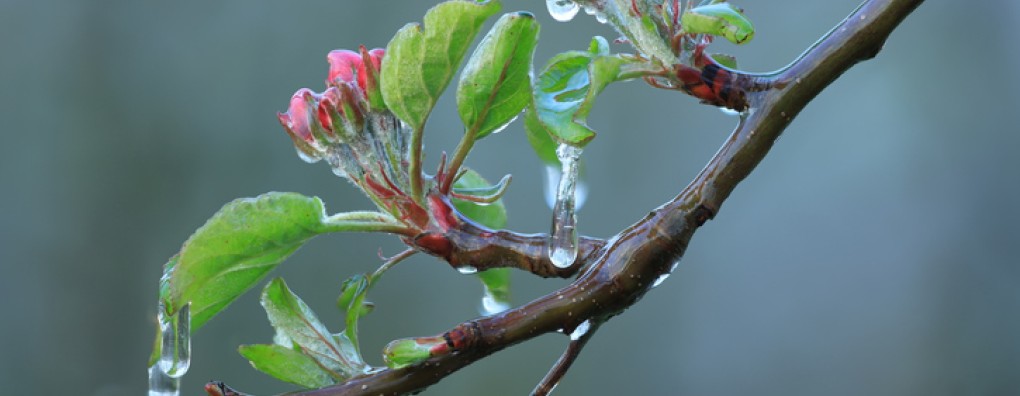 Regie over leven en dood