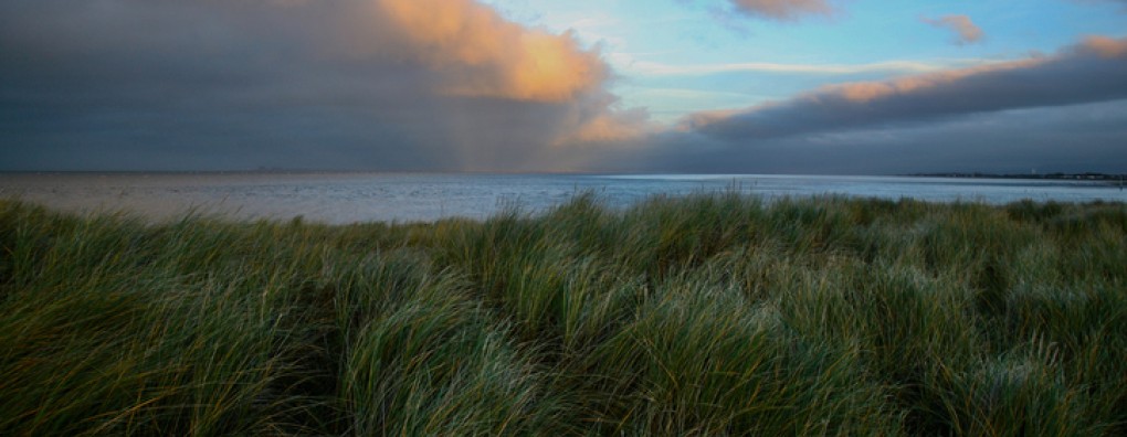 Hoe uit verdriet iets moois kan ontstaan