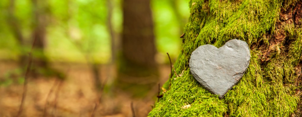 Wat als ze er niet meer is