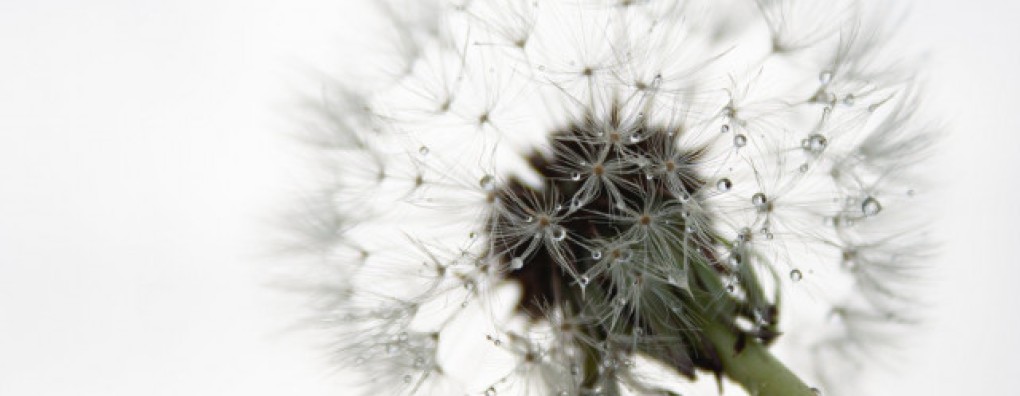 Herziening Richtlijn Palliatieve Sedatie gelanceerd