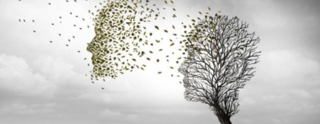 Afscheid nemen in duizend stapjes